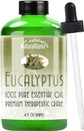 Eucalyptus