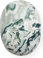 Tree Agate