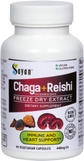 Chaga + Reishi