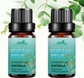 Eucalyptus20ml