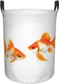 Cute Goldfish