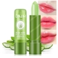 1 Pc Aloe Vera Lipstick