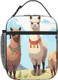 Llama And Alpaca