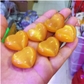 25mm (Yellow)