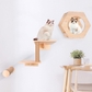 Cat Wall Shelf Hexagon