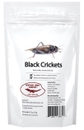 Jamaican Crickets