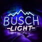 BUSCH LIGHT