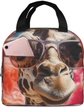 Giraffe Wearing Sunglasses