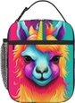 Rainbow Llama