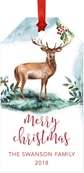 Watercolor Deer Tags Custom