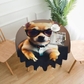 Chihuahua Dog Glasses 1