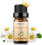 Chamomile