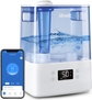 Smart Humidifier