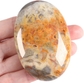 P # Crazy Lace Agate