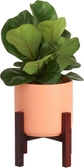 Décor Plant Pot w/ Plant Stand