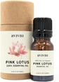 Pink Lotus