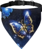 blue gold butterfly