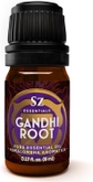 Gandhi Root