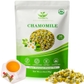 Chamomile