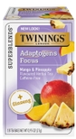 Adaptogens Focus with Ginseng