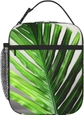 Green Palm Leaf