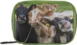 Four Funny Cows