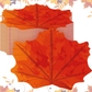 Maple Leaves