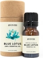 Blue Lotus