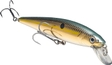 620 - Gold Sexy Shad