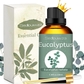 Eucalyptus