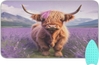 Cute Highland Cow in Lavender Wild