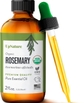 Organic Rosemary