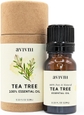 Tea Tree