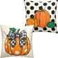 Pumpkin-01a-pillow Covers