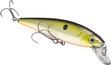 Silver Tennessee Shad