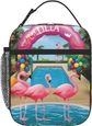 Flamingo And Swimming Pool1