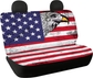 American Flag Eagle