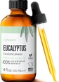 Eucalyptus