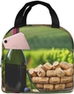 Wine Bottle Corks Grapes