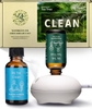 Tea Tree & Clean