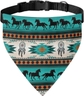 green horse tribal