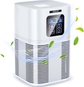 White air purifier