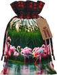 Colorful And Fabulous Flamingos