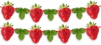 Seyal - Real Strawberry Garland Decoration