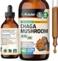 Chaga Mushroom