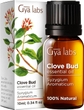 Clove Bud