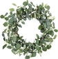 Eucalyptus Wreath C