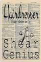 Hairdresser Shear Genius