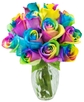 Rainbow Rose