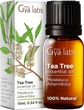 Tea Tree